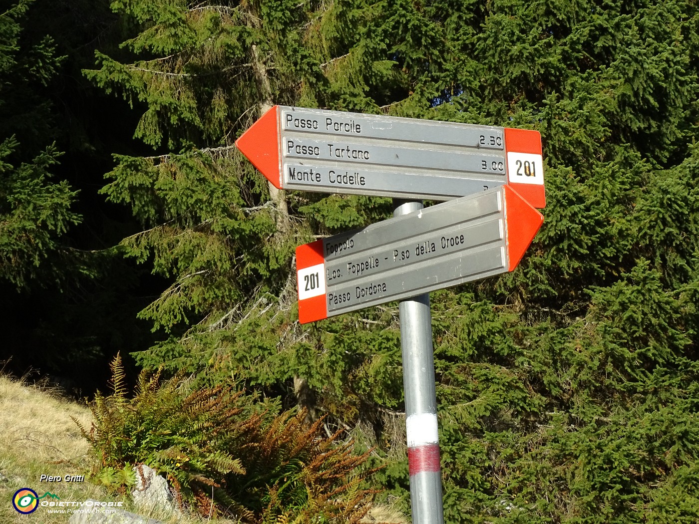77 Saliti dal sent. 202 (Passo Dordona...), chiudiamo l'anello rientrando dal sent. 201.JPG